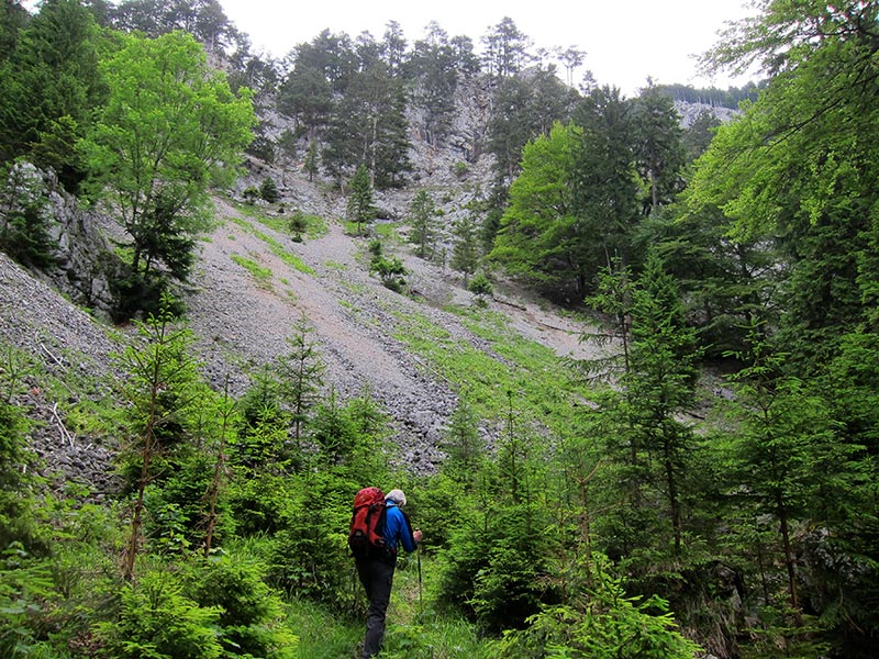 krummholzsteig